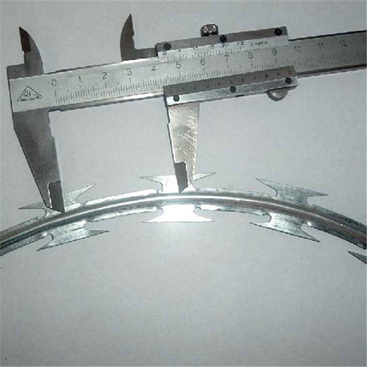  监狱钢网墙刀片刺绳案例展示图片4